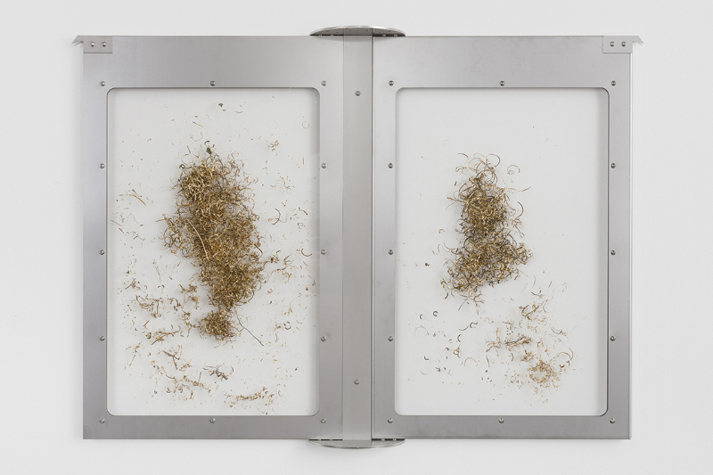 © Bildrecht, Wien, 2025; Foto: kunst-dokumentation.com