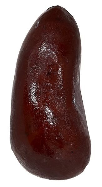 © Bildrecht, Wien, 2026; Foto: Artothek des Bundes