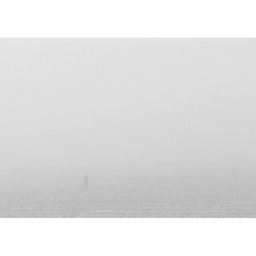© Bildrecht, Wien 2017; Foto: Nicole Six & Paul Petritsch, Nebel, 2007; © Bildrecht, Wien 2017; ...